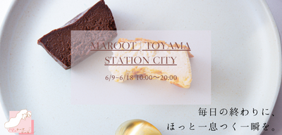 「ママのチーズケーキ」が富山駅前の商業施設「マルート」で6月9日(金)-18日(日)まで数量限定販売します。