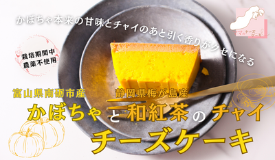 「Makuake限定チーズケーキ」かぼちゃとチャイのチーズケーキをMakuake限定販売しました。